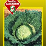 Semillas de Repollo Crespo Milán Rey de Invierno 500 Grs