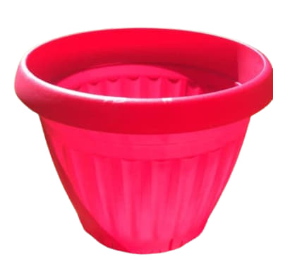 Rosado