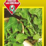 Semillas de Rùcula Cultivada