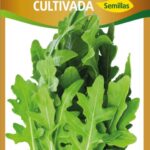 Semillas de Rùcula Cultivada