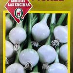 Semillas de Cebolla Pickle