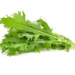 Semillas de Mizuna Verde 500 Grs 