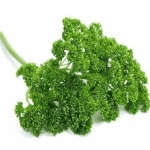 Semillas de Perejil Crespo Rizado 1 Kilo