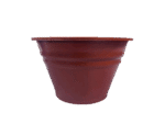 Terracota