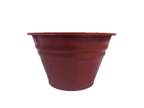 Terracota