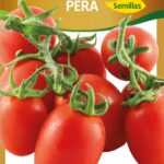 Semillas de Tomate Pera