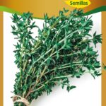 Semillas de Tomillo en Sobre