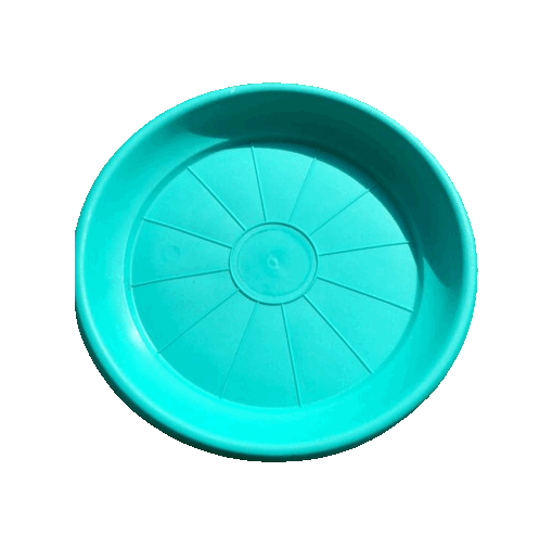 Turquesa