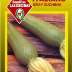 Semillas de Zapallito Italiano Grey Zucchini 500 Grs