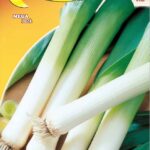 Semillas De Puerro De Invierno Gigante 2