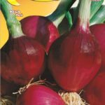 Semillas De Cebolla Tropea Roja Redonda