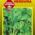 Semillas de Apio Verdura