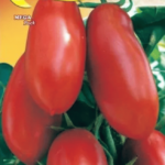 Semillas De Tomate San Marzano 3 Indeterminado