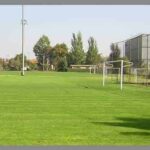 Semilla Festuca Asterix Certificada 20 Kilos