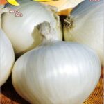 Semillas De Cebolla Blanca De Junio