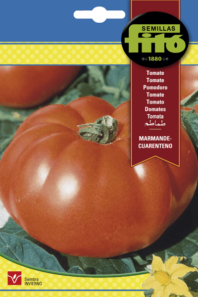 Semillas Fitó de Tomate Marmande Cuarenteno