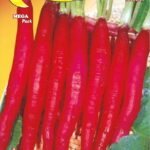 Semillas De Rábano Vela De Fuego