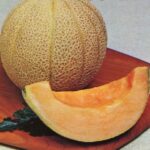 Semillas de Melón Cataloupe Topmark (Carne rosada) 100 Grs