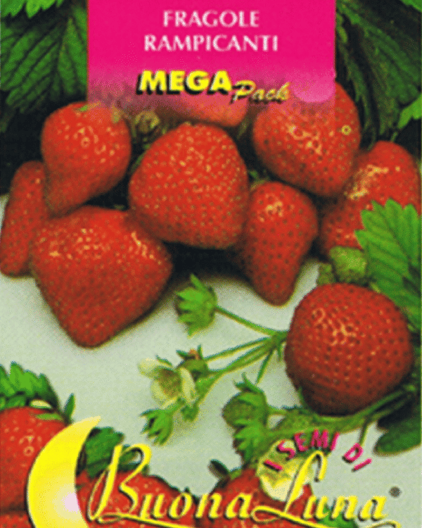 Semillas De Fresas Trepadoras
