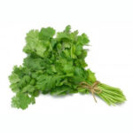 Semillas de Cilantro Rey 100 Grs