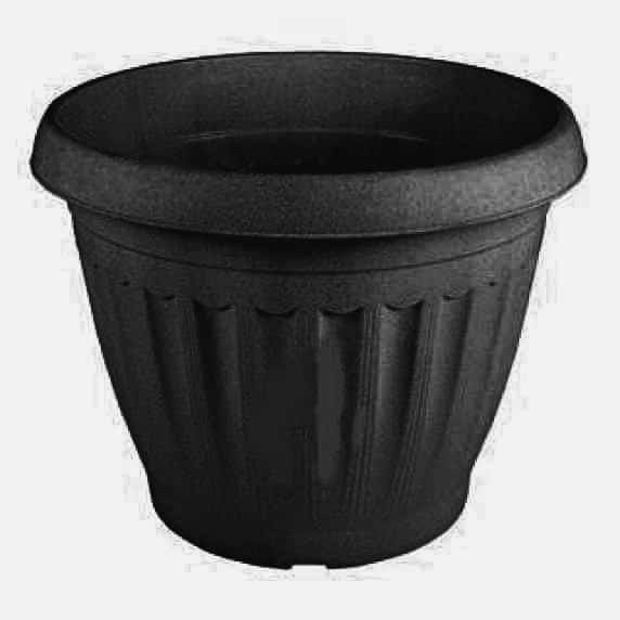 Negro