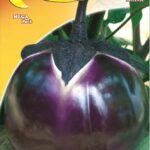 Semillas De Berenjena Violeta De Florencia