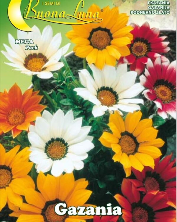 Semillas De Gazania Mix