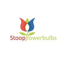 Stoopflowerbulbs