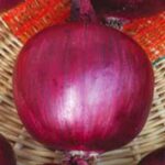 Semillas de Cebolla Morada Granata De Guarda 100 Grs