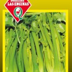 Semillas de Apio Pascal Gigante 100 Grs
