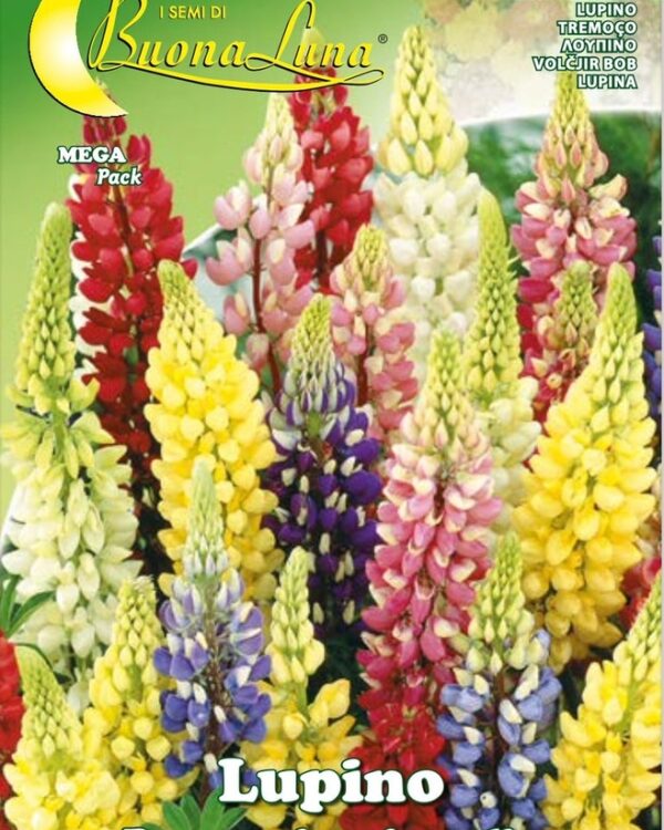 Semillas De Lupino Perenne Mix