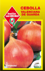 Semillas de Cebolla Valenciana de Guarda
