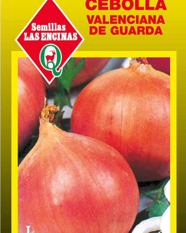 Semillas de Cebolla Valenciana de Guarda
