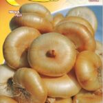 Semillas De Cebolla Borettana