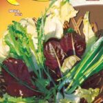 Semillas De Mezcla 4 Estaciones