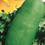 Semillas De Sandía Charleston Gris