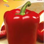 Semillas De Pimentón Cuadrado De Asti Rojo