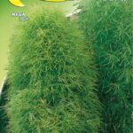 Semillas De Mirabel De Ciprés