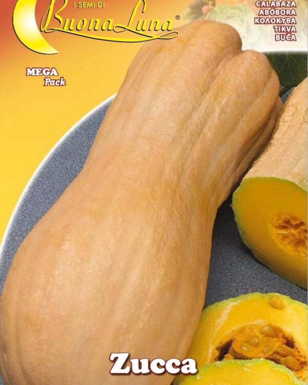 Semillas De Zapallo Butternut
