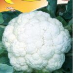 Semillas De Coliflor Bola De Nieve X