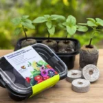 Mini invernadero con Discos Jiffy Peat Pellet 12