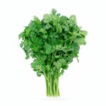 Semillas de Cilantro Long Standing 100 Grs