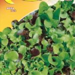 Semillas De Lechuga Mix de Variedades