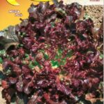 Semillas De Lechuga Red Salad Bowl