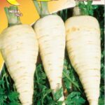 Semillas De Perejil De Raíces Halblange