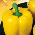 Semillas De Pimentón Cuadrado De Asti Amarillo