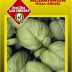 Semillas de Albahaca