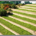 Semillas de Mezcla Chicureo (Polivalente, fina, baja, con trébol) 10 Kilos