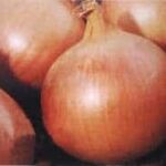 Semillas de Cebolla Valenciana Cobra 100 Grs