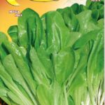 Semillas De Lechuga Rubia Hoja Lisa